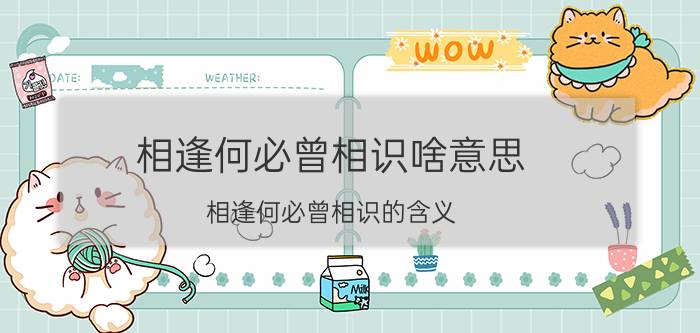 相逢何必曾相识啥意思 相逢何必曾相识的含义